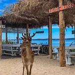Deluxe Bluebay Oasis Apartmán