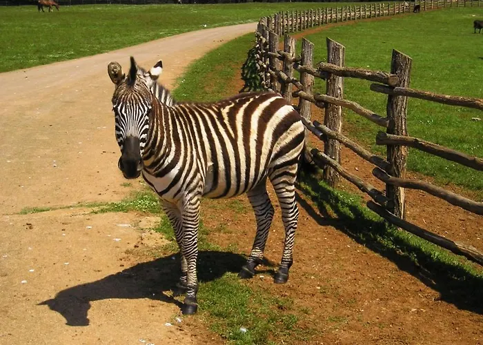 Apartman Deluxe Bluebay Oasis