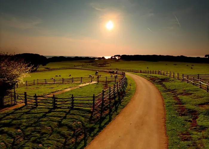 Deluxe Bluebay Oasis Fazana