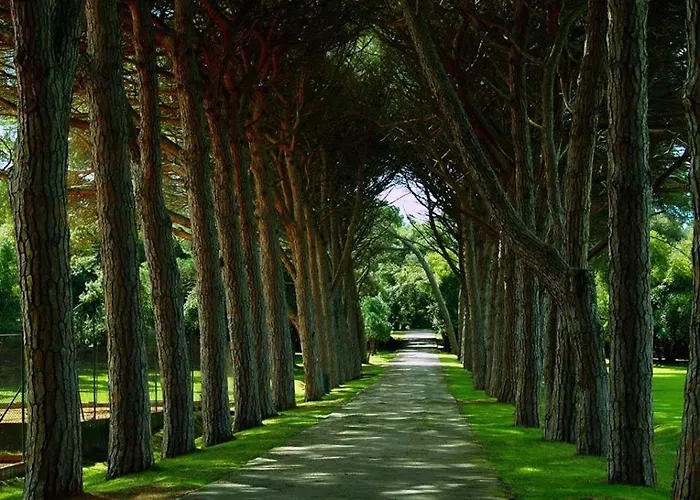 Apartman Deluxe Bluebay Oasis *