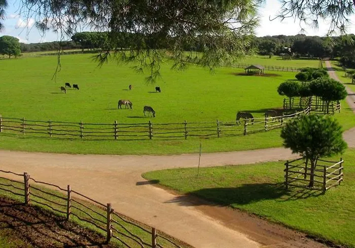 Deluxe Bluebay Oasis