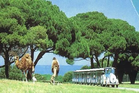 Apartman Deluxe Bluebay Oasis *