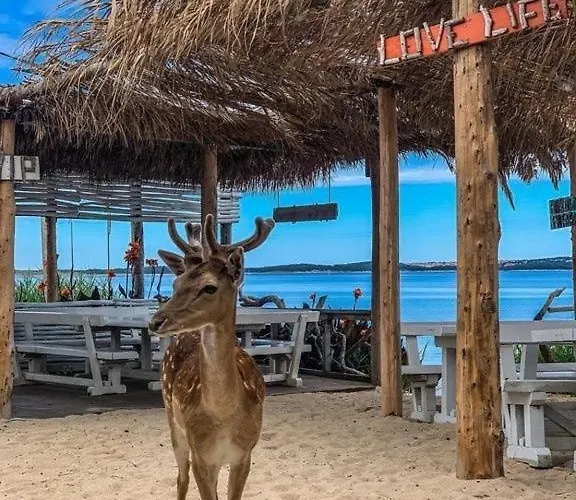 Deluxe Bluebay Oasis Apartman