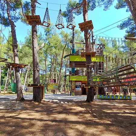 Deluxe Bluebay Oasis Daire